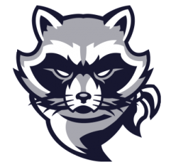 bandit racoo